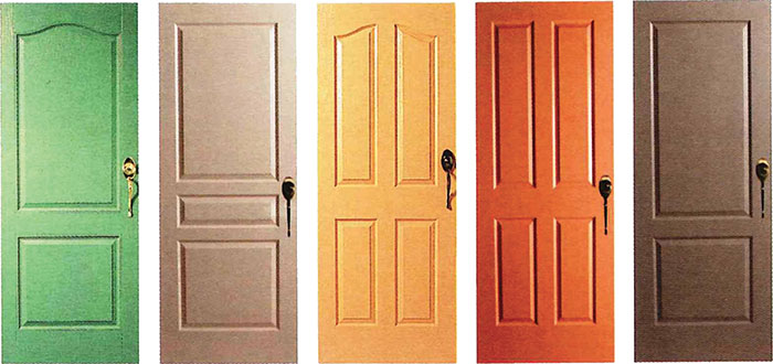 Front-doors-Options-detail